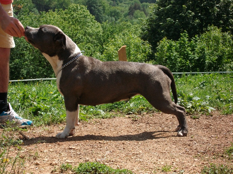 Casia De la crique du Flojule